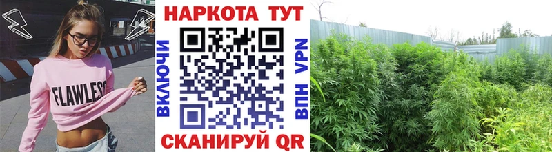 Купить закладку Олонец СК  КОКАИН  Гашиш  Марихуана 
