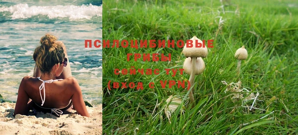 сатива Алзамай