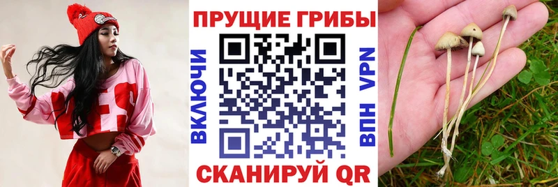 Галлюциногенные грибы Magic Shrooms  Олонец 